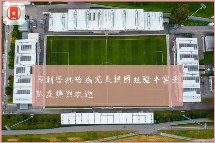 马刺签托哈成完美拼图经验丰富受队友热烈欢迎